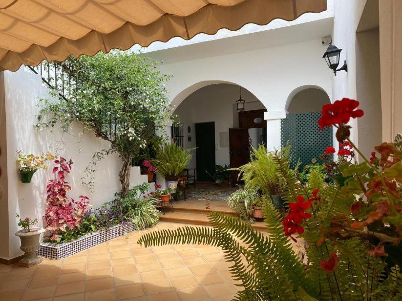 Apartamentos El Arco Conil De La Frontera Zewnętrze zdjęcie