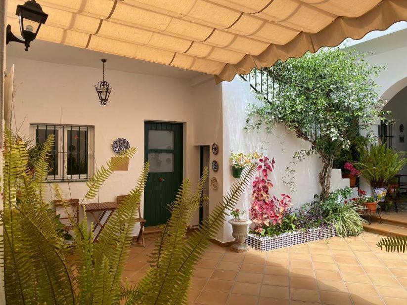 Apartamentos El Arco Conil De La Frontera Zewnętrze zdjęcie